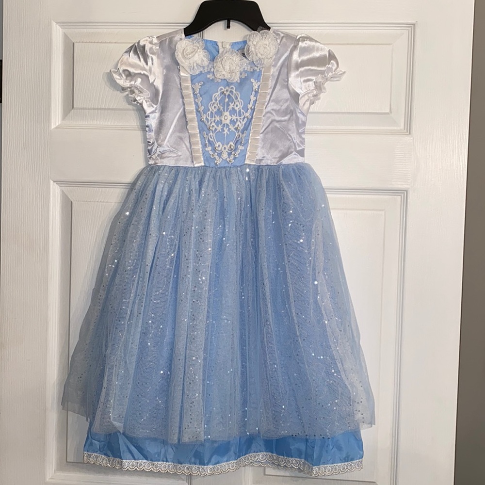Elsa/Cinderella Costume